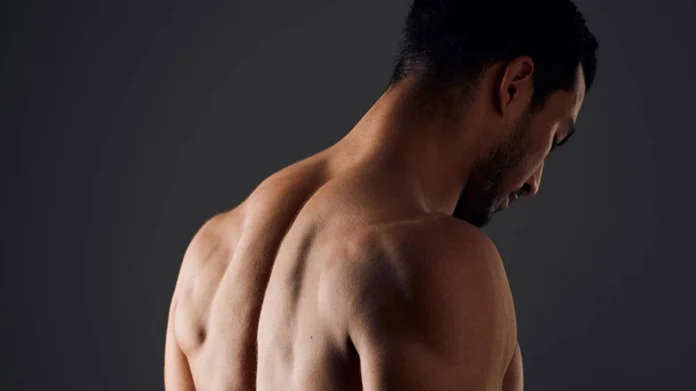 Shoulder