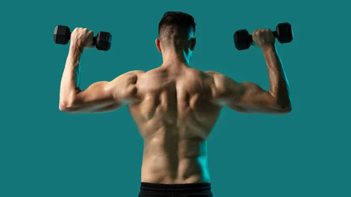 Muscle