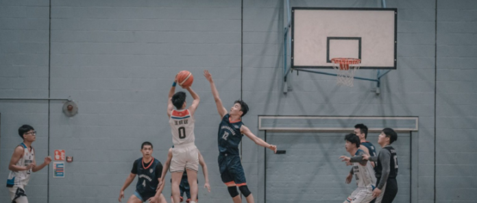 basketball basketball